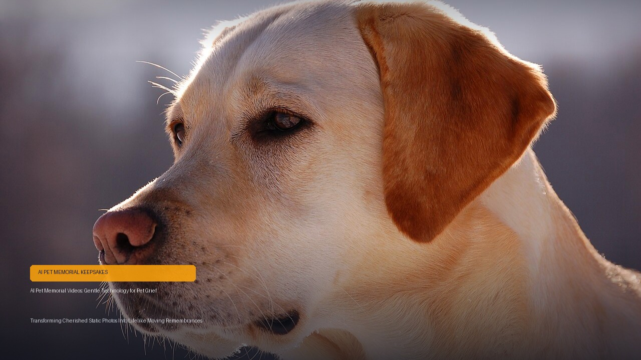 AI Pet Memorial Videos: Can Technology Help With Pet Grief?