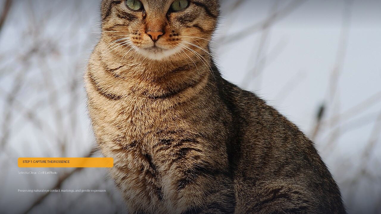 Understanding Continuing Bonds Theory and soothing pet memory anxiety