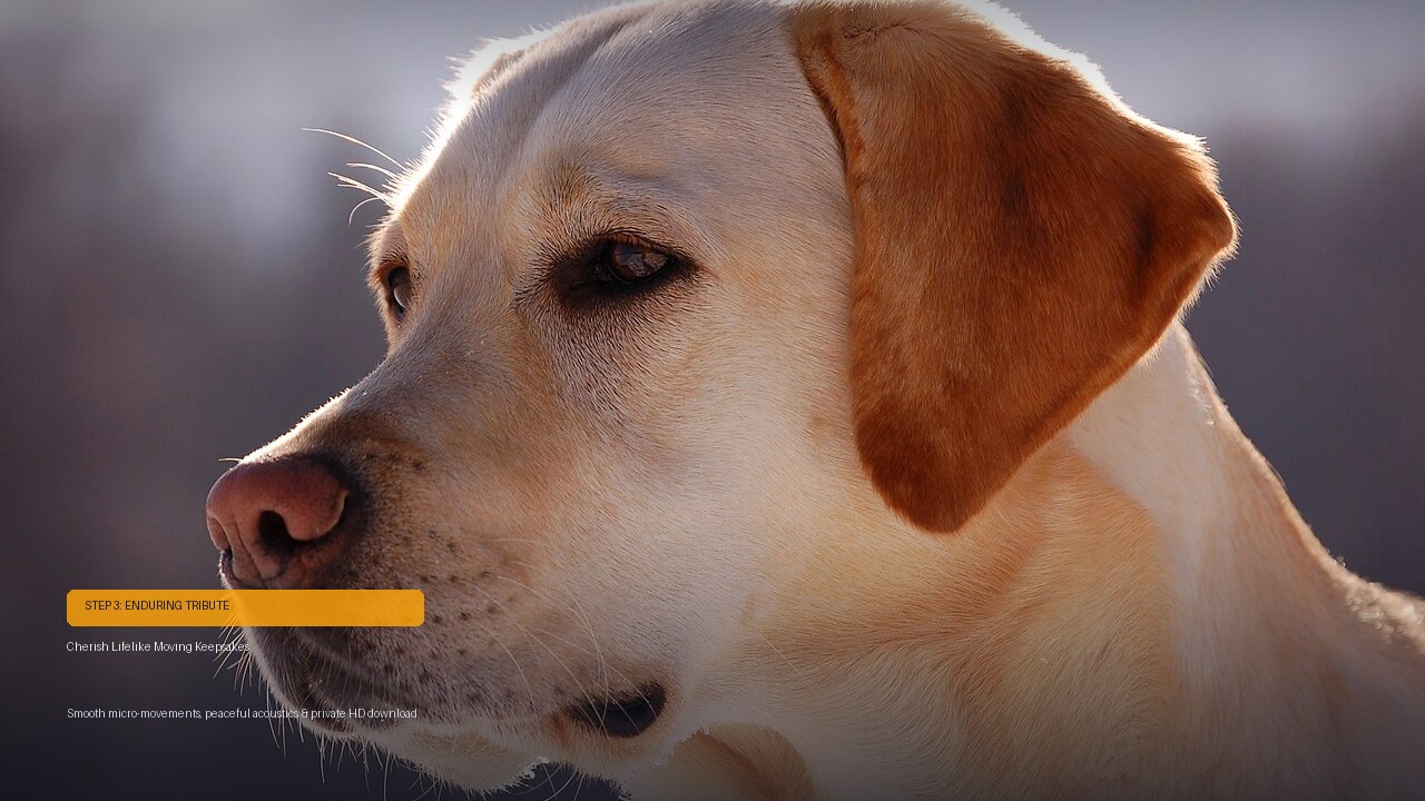 Thoughtful AI pet memorial keepsake tribute and comforting gift